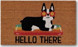 Photo 1 of 4 PACK: 1'6x2'6 Hello Summer Dog Doormat Natural - Sun Squad
