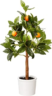 Photo 1 of Amazon Brand - Stone & Beam Artificial Orange Citrus Tree with Ceramic Pot, 2 Feet (24 Inches), Indoor
