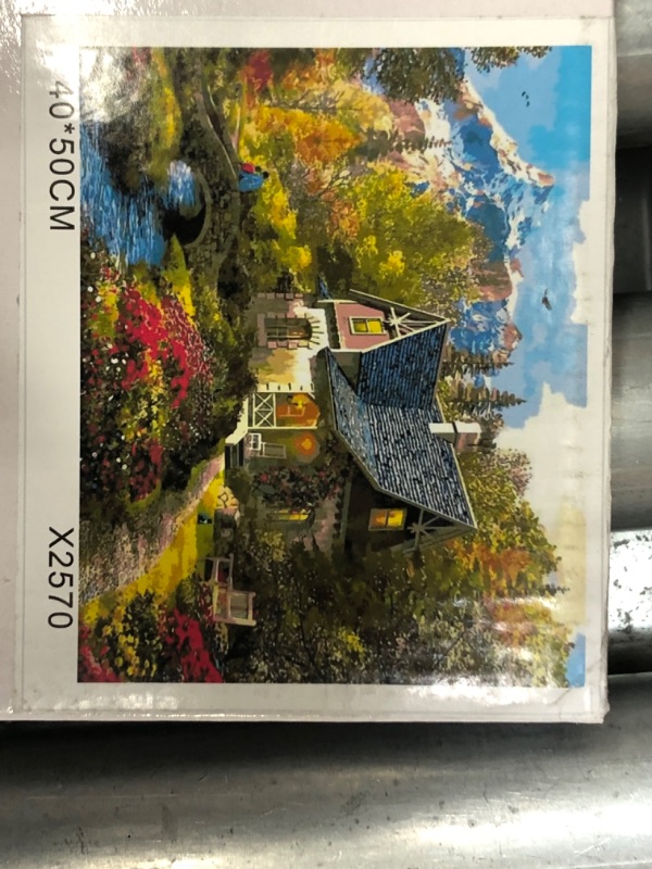 Photo 1 of framed paint by numbers on pre printed 16x20"