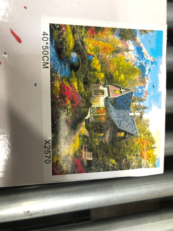 Photo 1 of framed paint by numbers on pre printed 16x20"