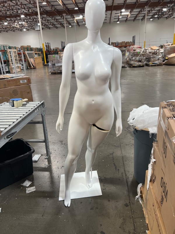 Photo 5 of  Female Mannequin Adjustable Detachable Manikin with Metal Stand Plastic Full Body, size 10 in women