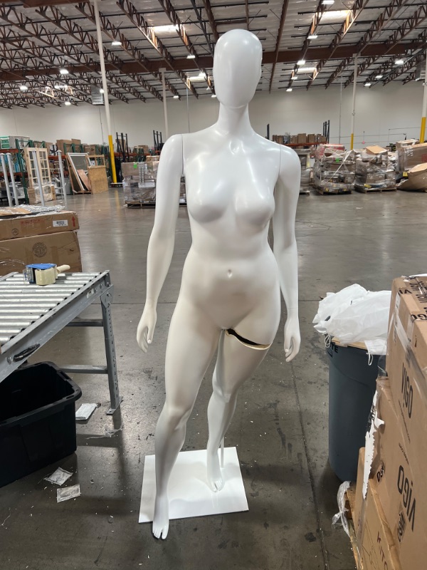 Photo 2 of  Female Mannequin Adjustable Detachable Manikin with Metal Stand Plastic Full Body, size 10 in women
