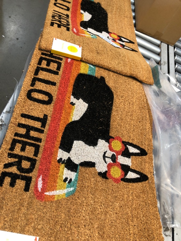 Photo 2 of 2 of -1'6"x2'6" Hello Summer Dog Doormat Natural - Sun Squad™

