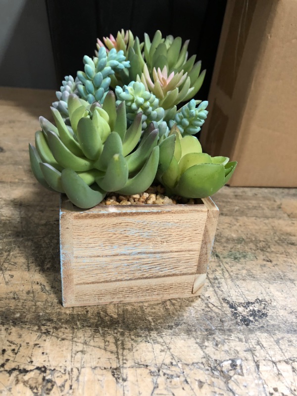 Photo 3 of 8" x 4.5"Farmhouse Artificial Succulent Plant in Wood Pot.