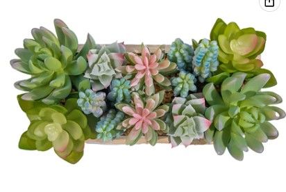 Photo 1 of 8" x 4.5"Farmhouse Artificial Succulent Plant in Wood Pot.