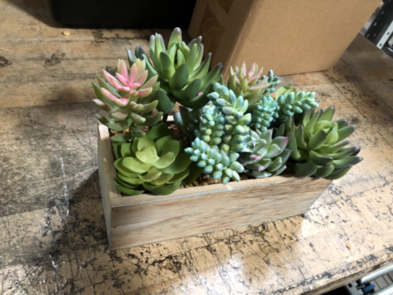 Photo 2 of 8" x 4.5"Farmhouse Artificial Succulent Plant in Wood Pot.