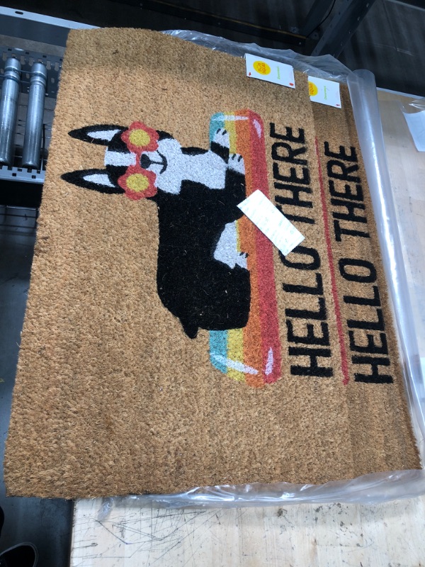 Photo 2 of 1'6"x2'6" Hello Summer Dog Doormat Natural - Sun Squad™


2 PACK