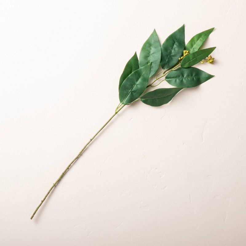 Photo 1 of 22 Faux Long Leaf Eucalyptus Plant Stem - Hearth & Hand with Magnolia
BOX 0F 6
