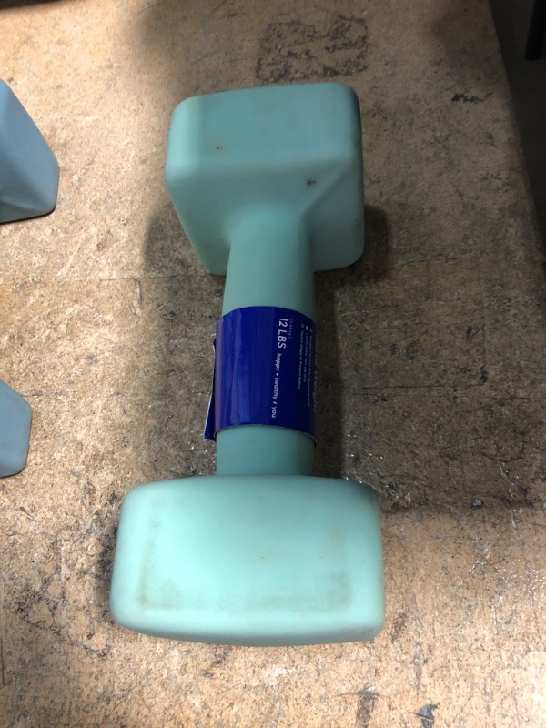 Photo 1 of 12 POUND DUMB BELL