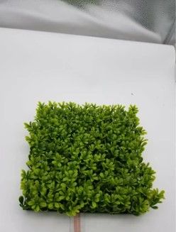 Photo 1 of 10 Pack of Boxwood Green Artificial Flowers & Plant 10"x10" Approx. 