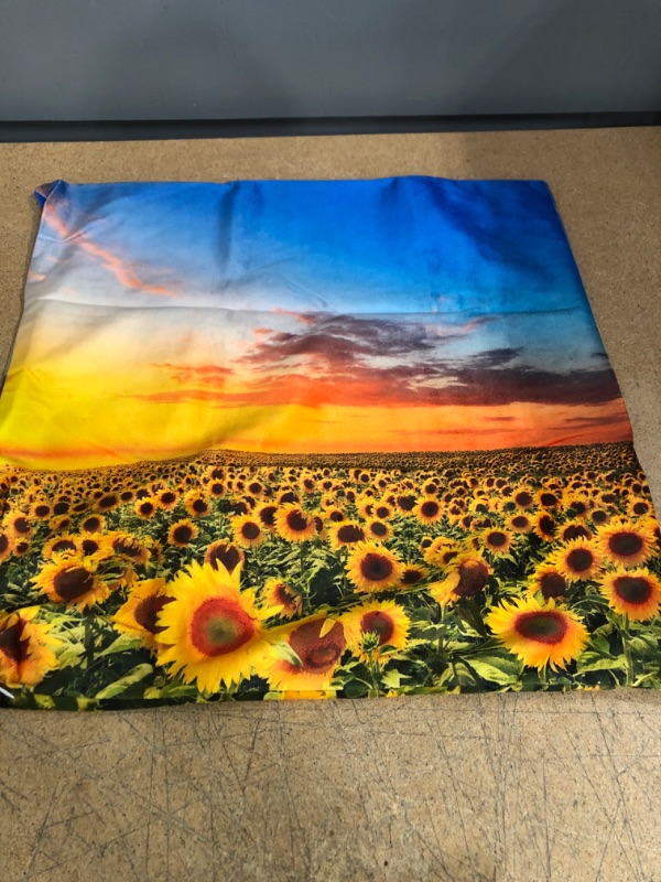 Photo 1 of -BEAUTIFUL SUNSET SUNFLOWER PILLOW COVER
-BLUE AND WHITE PILLOW COVER