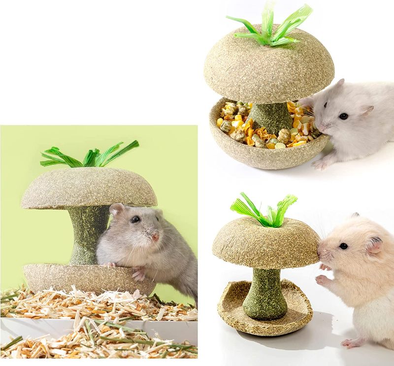 Photo 2 of 2PCS Hamster Chew Toys Hamster Food Bowl Cute Mini Hamster Molar Feeder Apple Core Small Animal Toys for Small Guinea Pigs Hamster Chewing Toys Molar Sticks