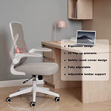 Photo 1 of Hbada Office Chair, Ergonomic Desk Chair, Computer Mesh Chair with Lumbar Support and Flip-up Arms, Gray
