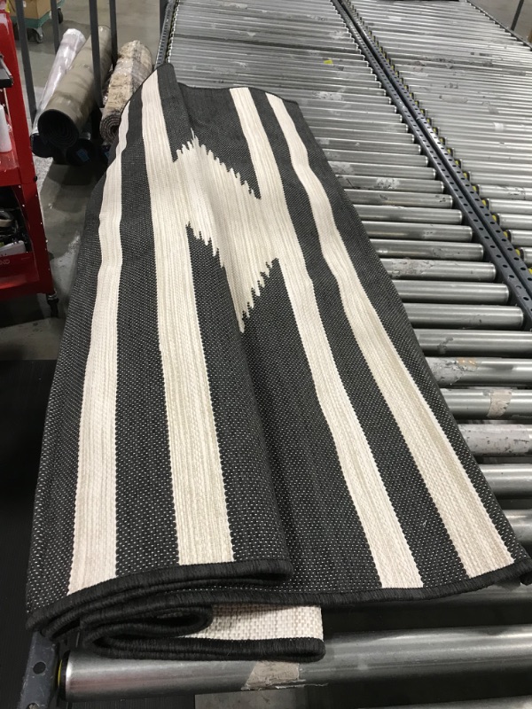 Photo 1 of 5' X 7' Outdoor Rug Western Diamond - Project 62
