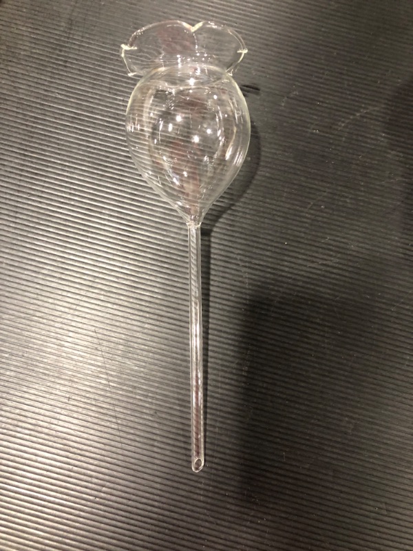 Photo 1 of Adabocute Plant Waterer Self Watering Globes Self Watering Spikes, Hand Blown Clear Glass Plant Water Bulbs Devices for Indoor & Outdoor, Fill from Top, 2 Flower Shape
