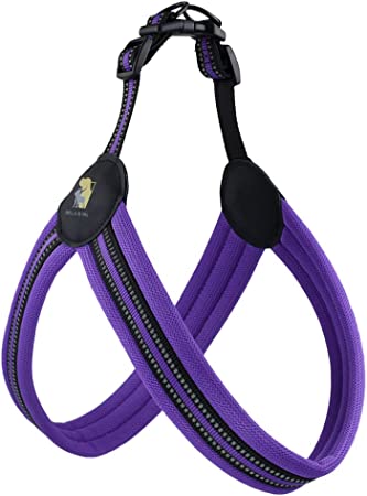 Photo 1 of BELLA & PAL Step in Harness for Small Medium Large Dogs, Easy on No-Choke Simply Go Vest Harness, Reflective Soft Padded Mesh Harness for Outdoor Use

