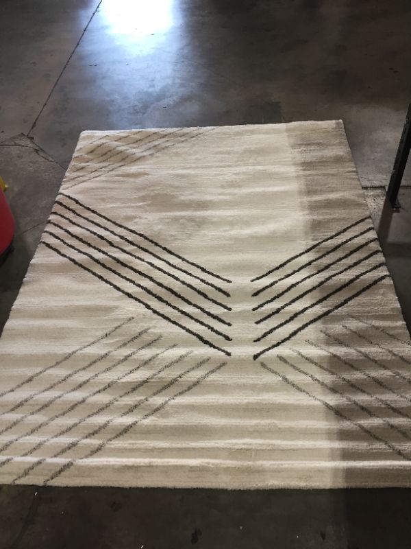 Photo 1 of 82x61 inch White and Black Area Rug 
