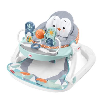 Photo 1 of Fisher-Price Sit-Me-up Penguin Floor Seat Multi
