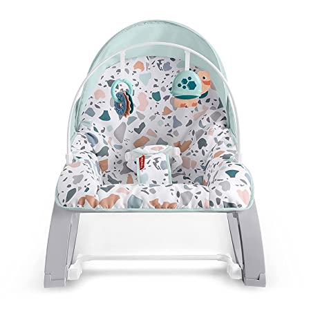 Photo 1 of Fisher-Price Deluxe Infant-to-Toddler Rocker Seat - Pacific Pebble, Multi
