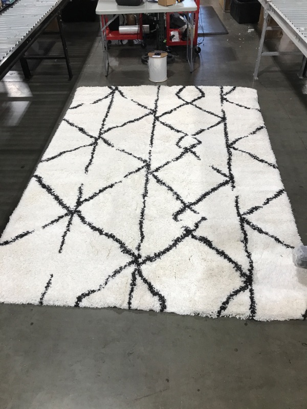 Photo 1 of 7 x 10 Balck and White Geometric Rug