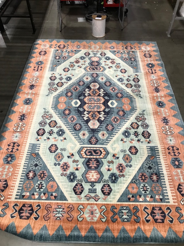 Photo 1 of 10 x 7 Traditional Area Rug