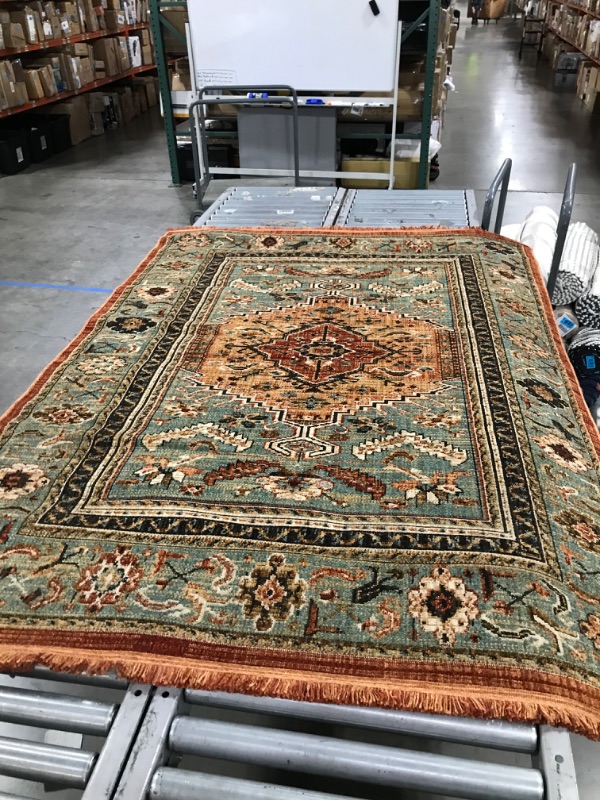 Photo 1 of 5x7 Traditional Area Rug