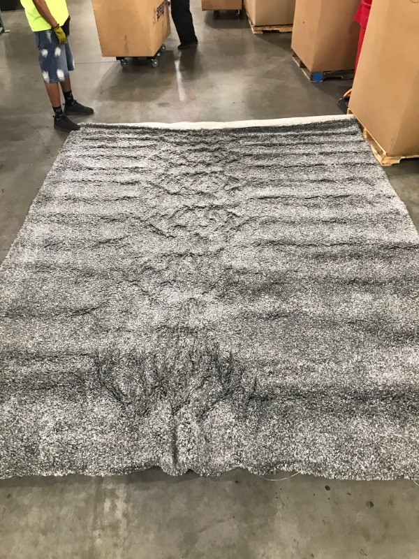 Photo 1 of 12 x 9 Area Rug 