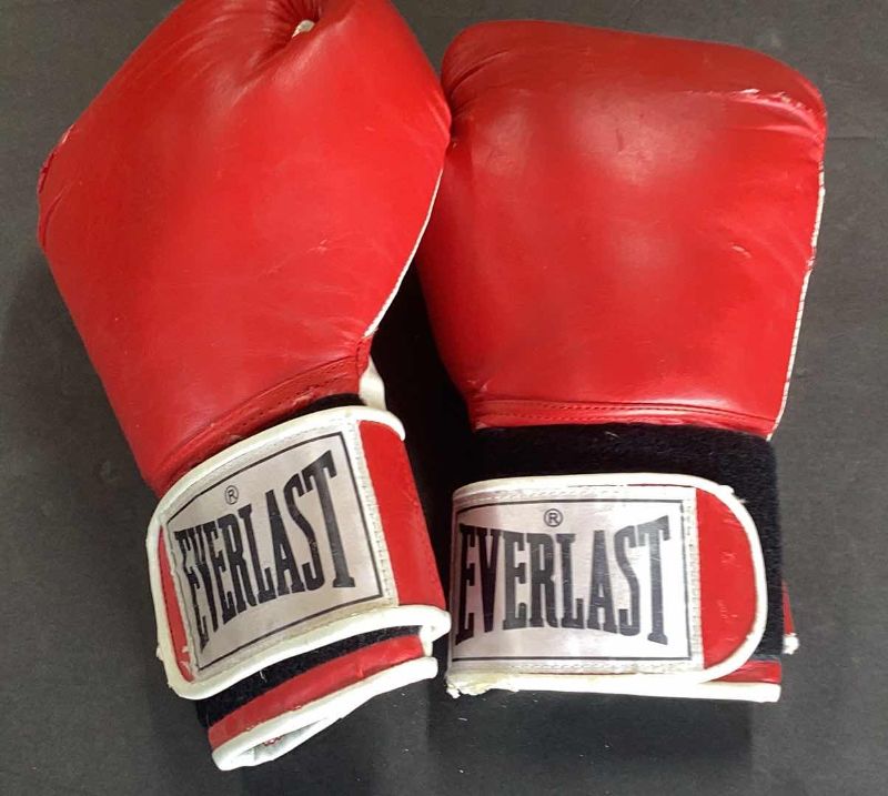 Photo 1 of EVERLAST BOXING GLOVES SIZE 12
