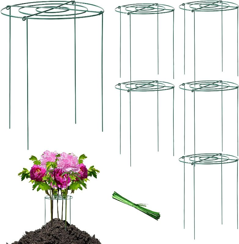 Photo 1 of 4 Peony Case and Support, Grow Through Plant Supports for Outdoor Plants, Peony Flower Support Stakes Metal Ring Hoop(12 X 17 Inch)
