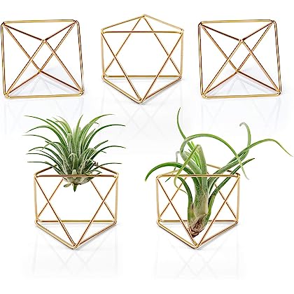 Photo 1 of Mkono 5 Packs Air Plant Holder, Same Shape Mini Metal Tabletop Himmeli Decor Modern Geometric Planter Tillandsia Air Fern Display Stand with Each Side for Home Office Decor Gift Idea NEW