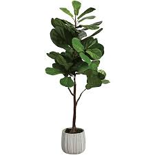 Photo 1 of ARTIFICIAL OLIVE TREE 5.75 FT FAKE PLANT PERFECT FAUX PLANT IN POT INDOOR OUTDOOE HOUSE HOME OFFICE