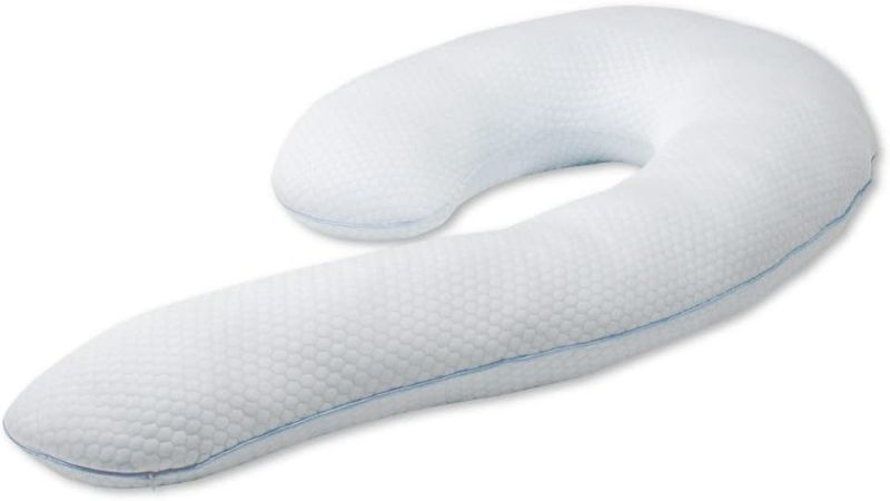 Photo 1 of Contour Swan Body Pillow w/Pillowcase & Mesh Laundry Bag, Cool XL 
