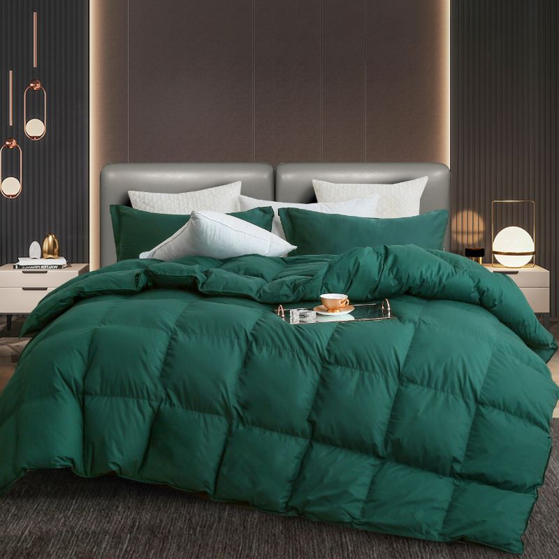 Photo 1 of All Season Feather Down Comforter Queen Size