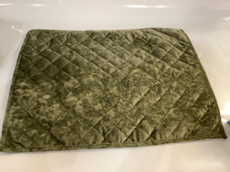Photo 1 of green suede threshold pillow case- standard size.