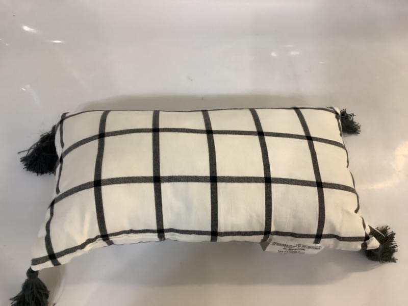 Photo 1 of decorative pillow black and white plaid with tassels 17x9