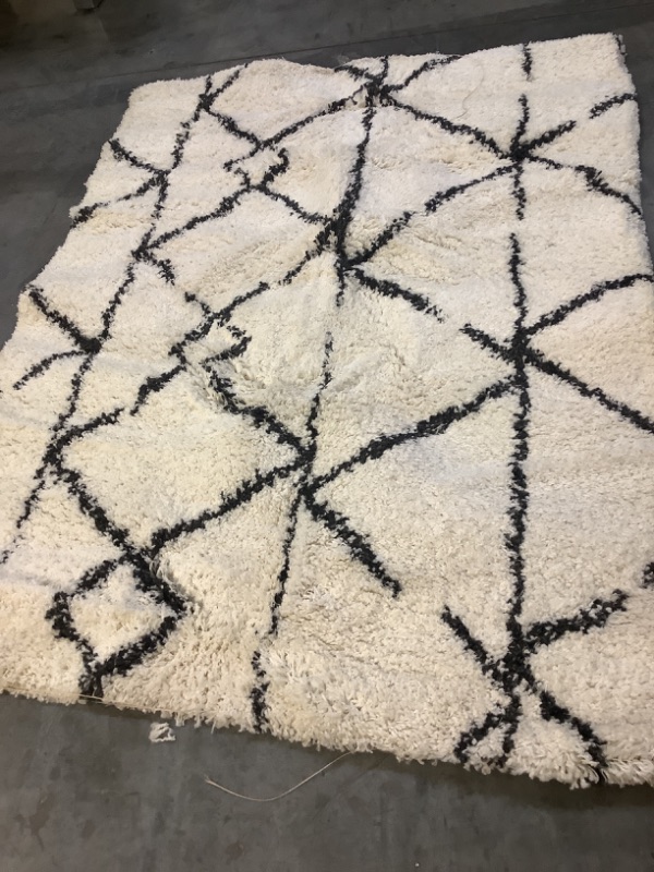 Photo 1 of Large area rug 62x82