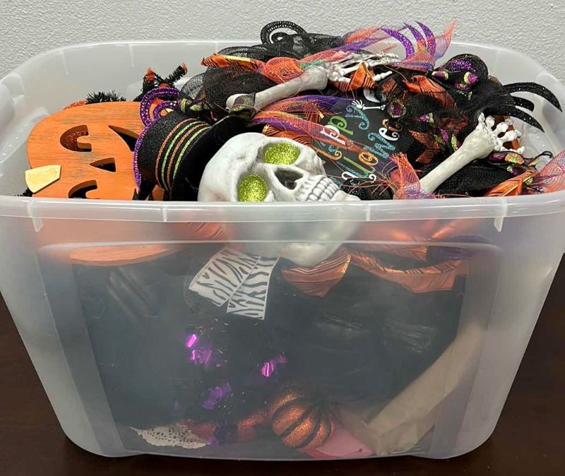 Photo 1 of LARGE TOTE ~ HALLOWEEN DECORATIONS