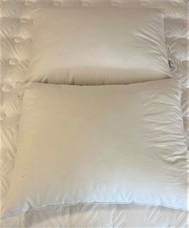 Photo 1 of 2 DUCK FEATHER DOWN PILLOWS - REG SIZE