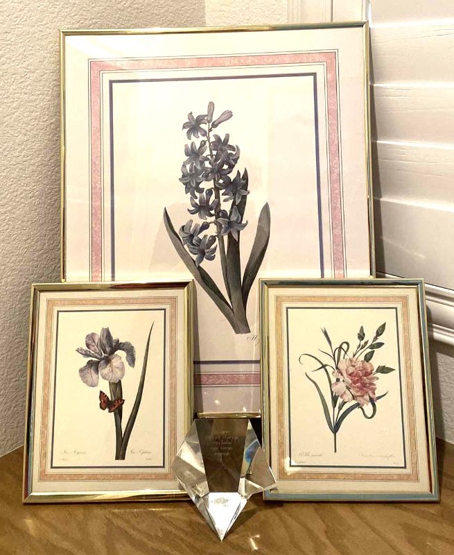 Photo 1 of 3 BOTANICAL FRAMED ART LARGEST 16” X 20” AND GLASS PAPER WEIGHT