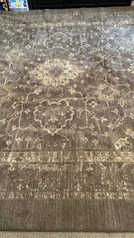 Photo 1 of AREA RUG 10’ X 12’
