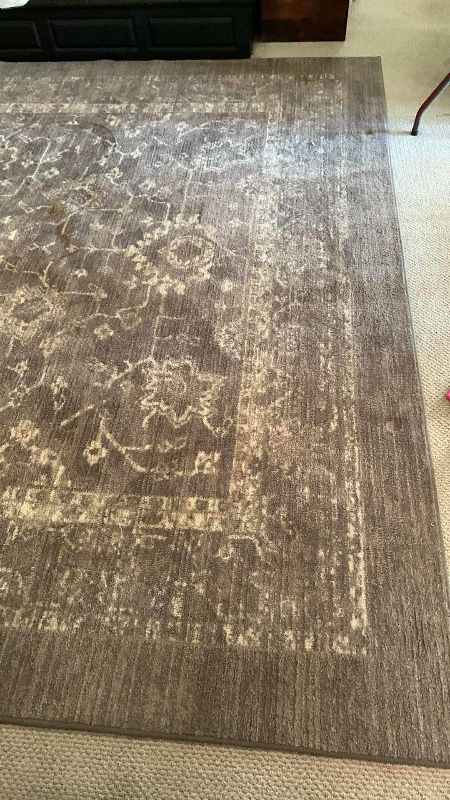 Photo 1 of AREA RUG 10’ X 12’