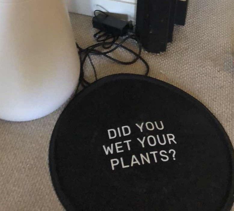 Photo 1 of LETTUCE GROW FARMSTAND NOOK