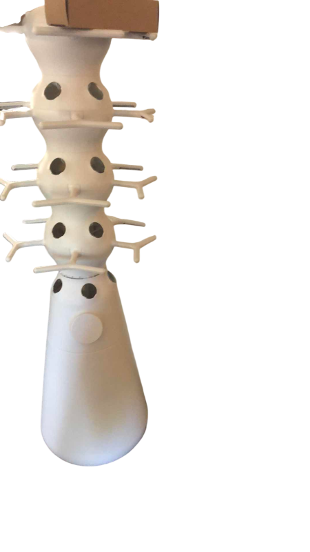 Photo 1 of LETTUCE GROW FARMSTAND NOOK