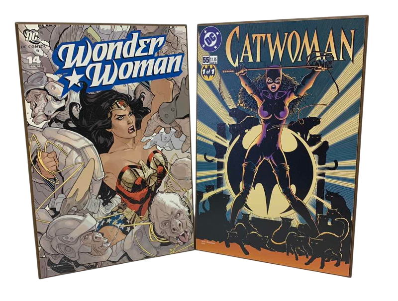 Photo 1 of 2 DC COMICS WONDER WOMAN AND CAT WOMAN WALL ART 13” X 19”