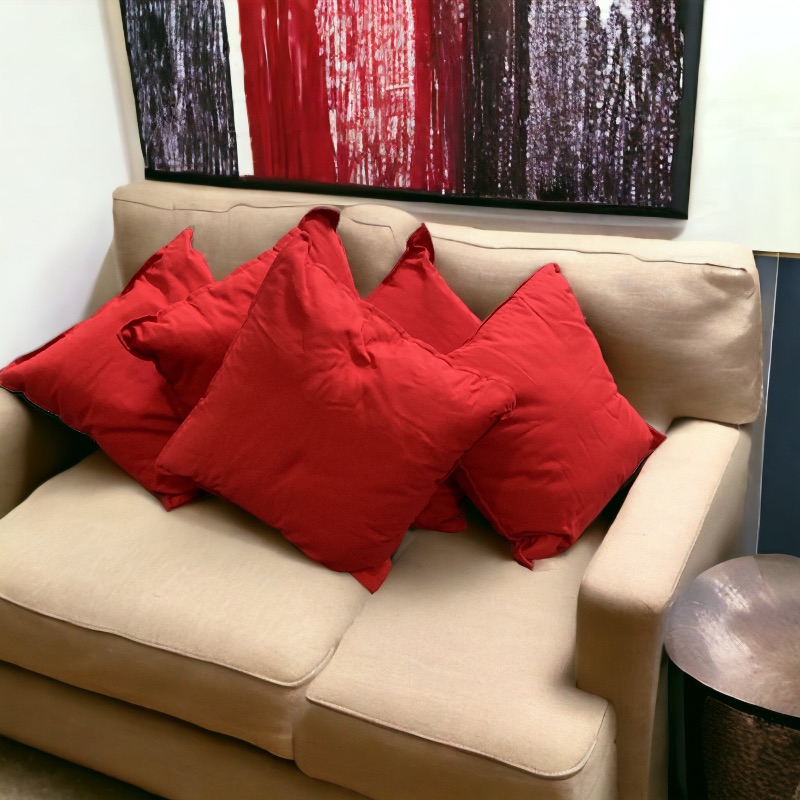 Photo 3 of GURLI THROW PILLOWS 20”x 20” RED 5 COUNT- MORE OF THIS ITEM IN AUCTION