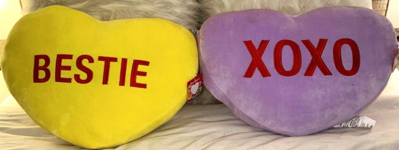 Photo 1 of TWO NEW SUPER SOFT SQUISHY SWEETHEART PILLOWS 22” x 15”