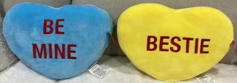 Photo 1 of TWO NEW SUPER SOFT SQUISHY SWEETHEART PILLOWS 22” x 15”