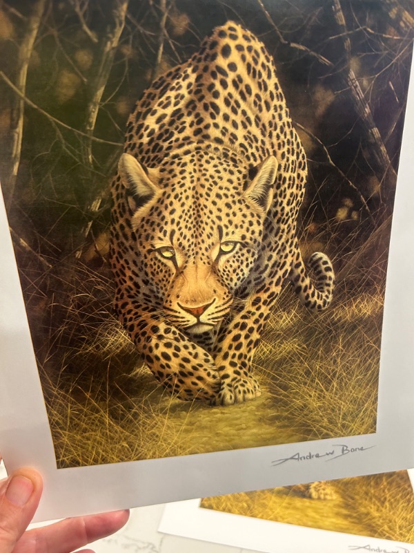 Photo 2 of 2 ARTWORK PIECES, SERIOLITHOGRAPH “AFRICAN MYSTIQUE” BY ANDREW BONE WITH COA