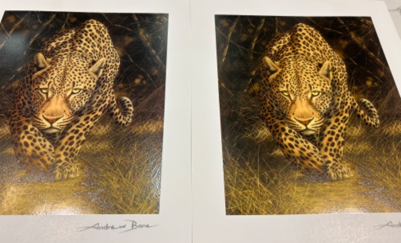 Photo 1 of 2 ARTWORK PIECES, SERIOLITHOGRAPH “AFRICAN MYSTIQUE” BY ANDREW BONE WITH COA