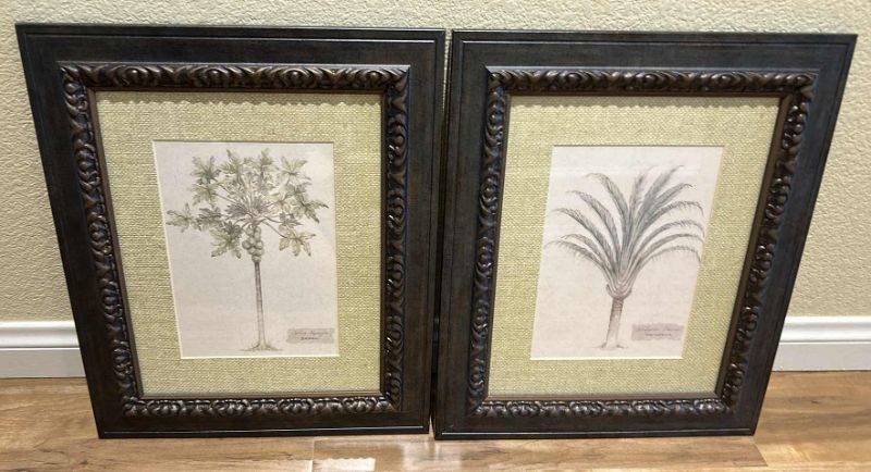 Photo 1 of 2 MADIGASCAR PALM TREE FRAMED ARTWORK 15 1/4” x 18 1/4"